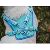 Picture of Freedog Peak Pedra Dog Harness | Cooling & Breathable